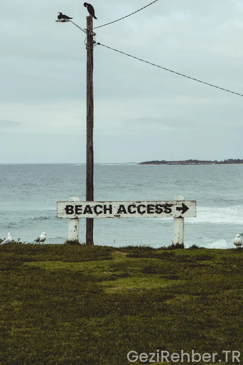 Büyükada plaj önerileri