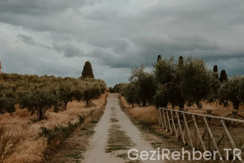 Büyükada’da Gezilecek Yerler