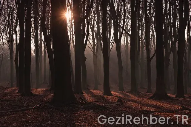 Çadır kamp yerleri fiyatları