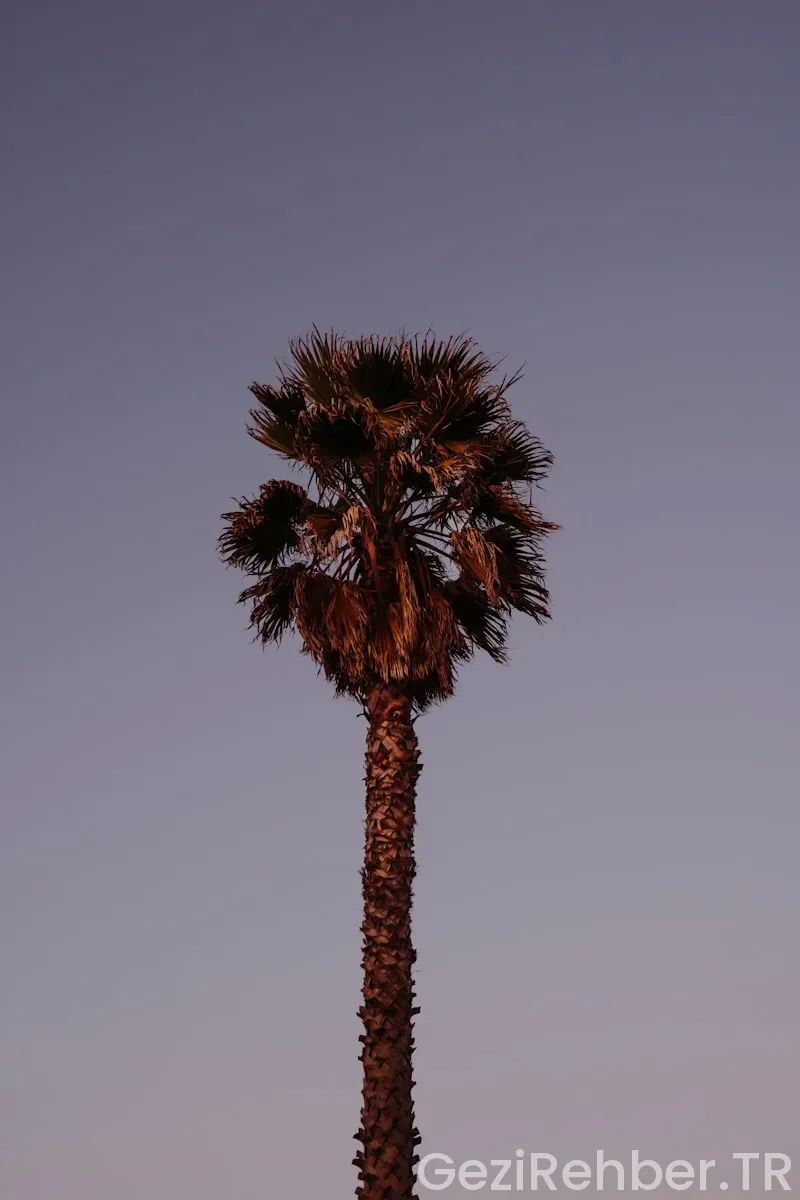 California ile türkiye arasındaki saat farkı
