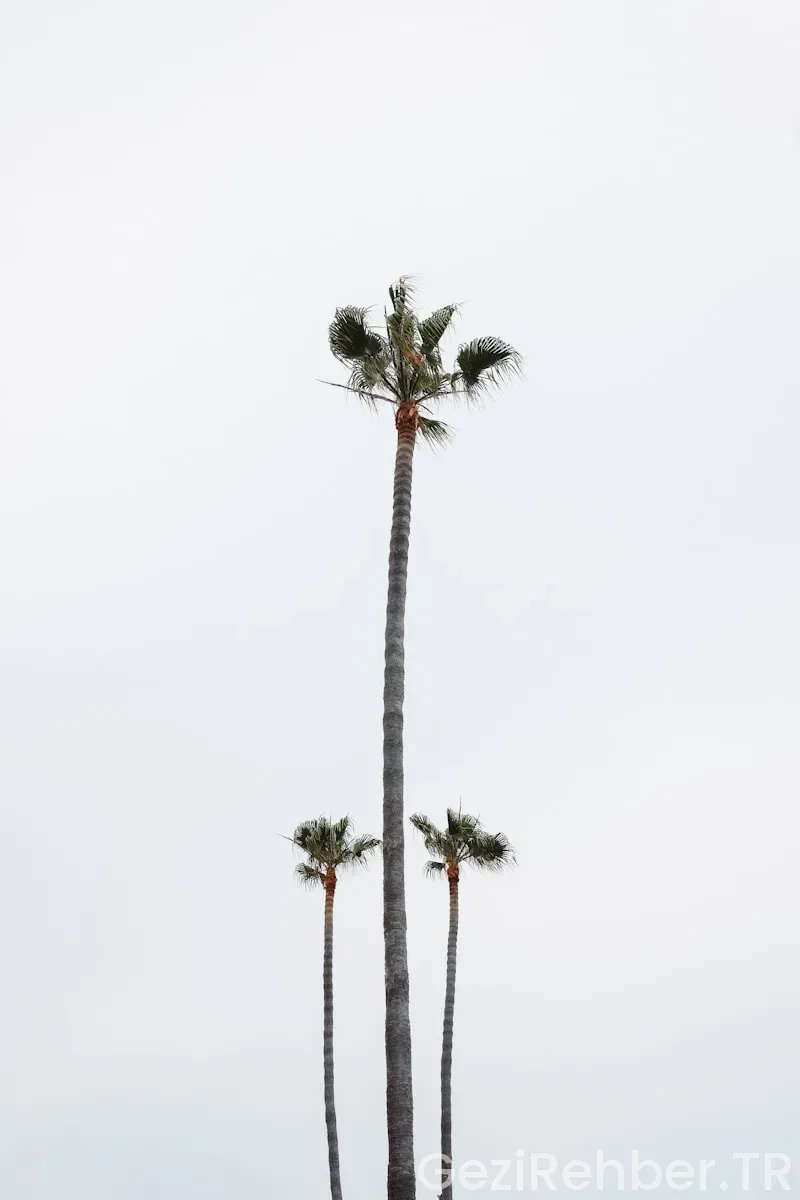 California ile türkiye arasındaki saat farkı