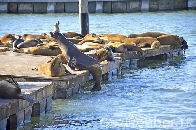 California travel guide