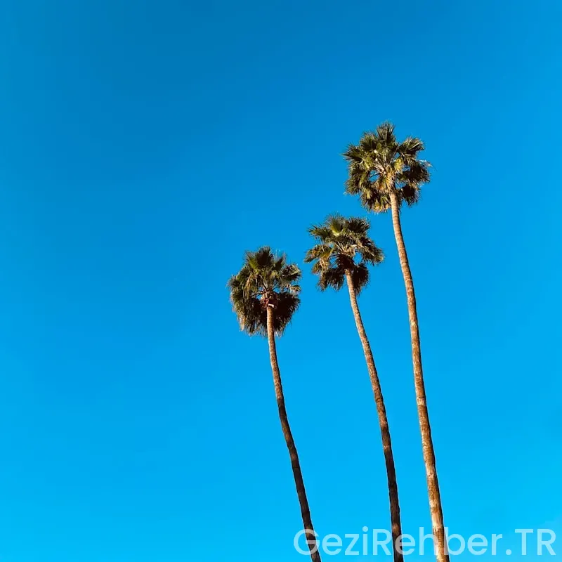 California travel guide California travel guide