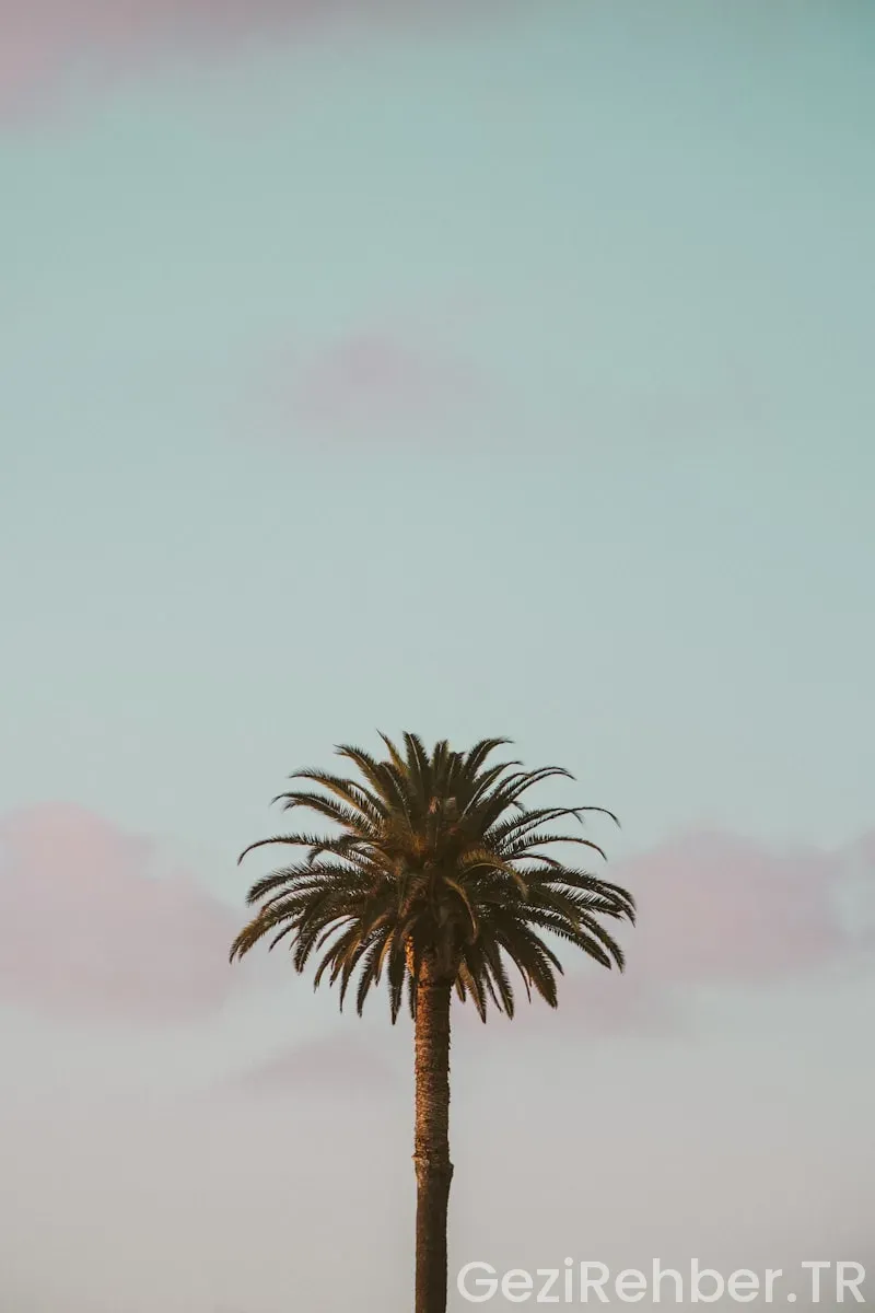 California türkiye saat farkı