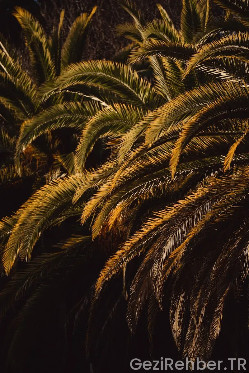 California türkiye saat farkı