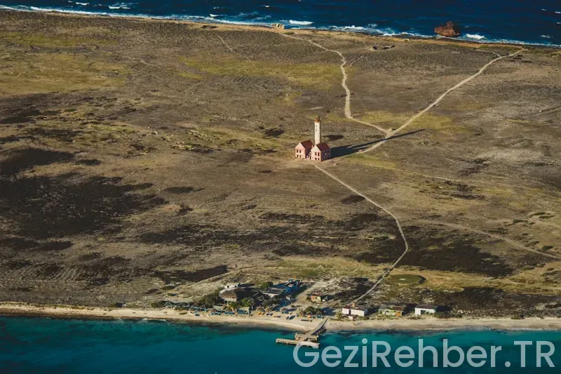 Calvin klein nerenin