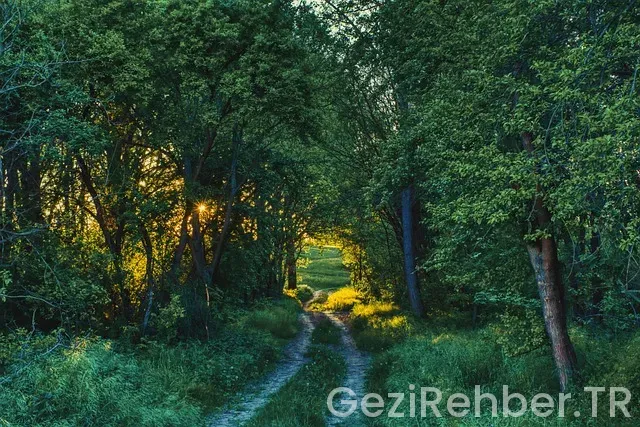 Çamlıhemşin nerede kalınır