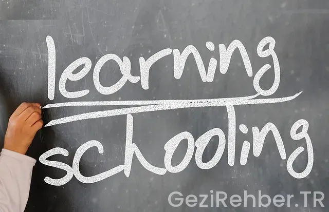 Can fatma ile yol hikayeleri