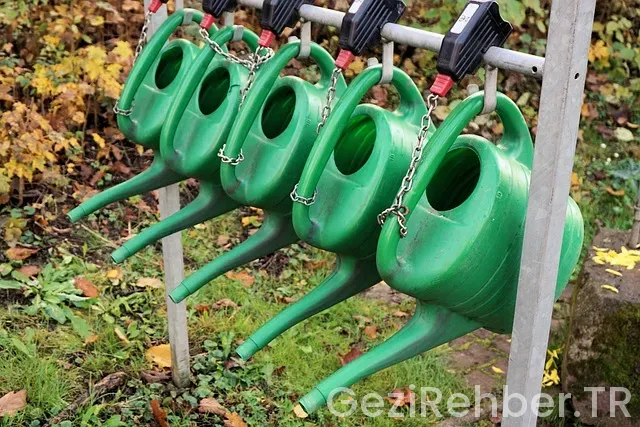 Can fatma ile yol hikayeleri