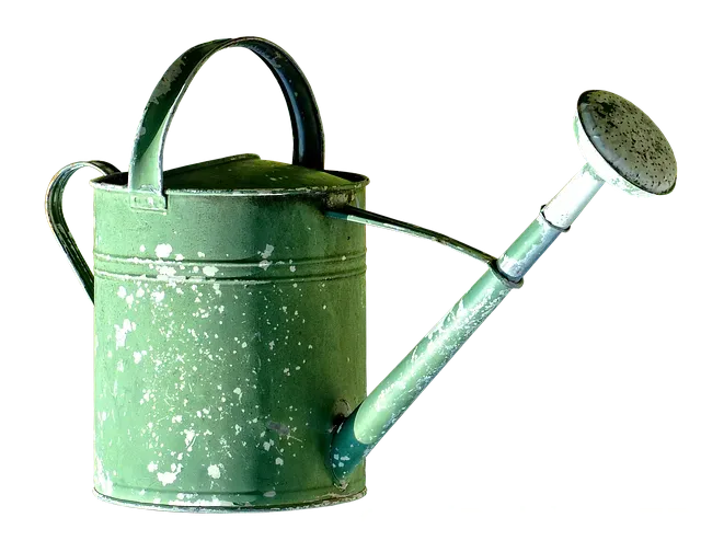 Can fatma ile yol hikayeleri