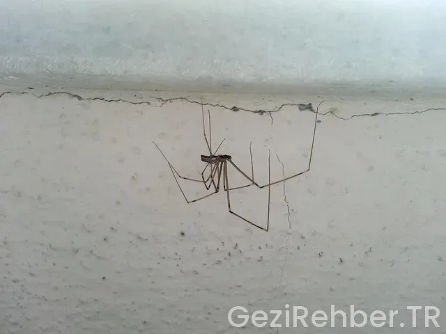 Çanakkale Gezi Haritası