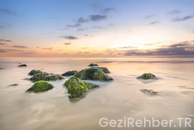 Cezayir uçakla kaç saat