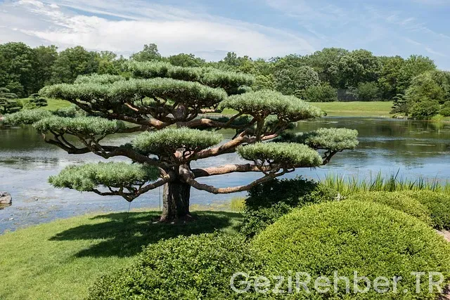 Chicago uçakla kaç saat