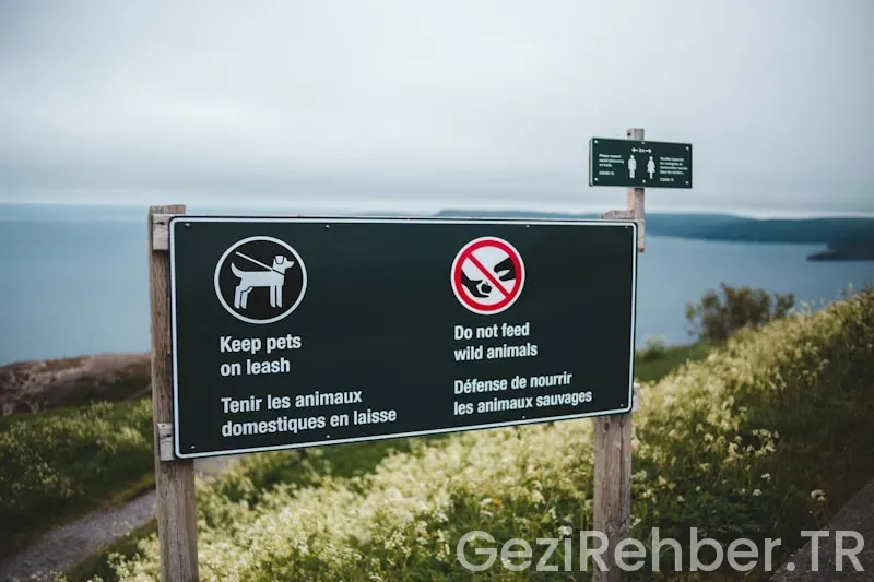 Çin turistik yerler