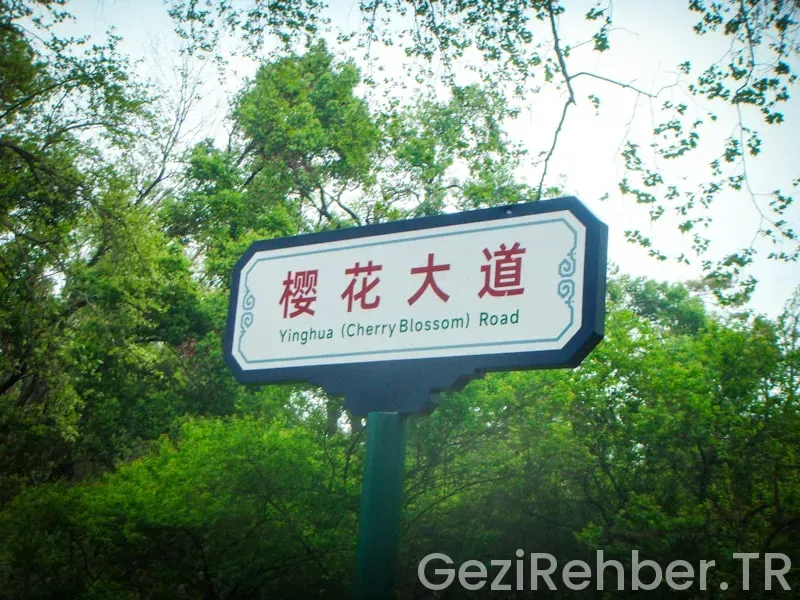 Çin'in meşhur yerleri