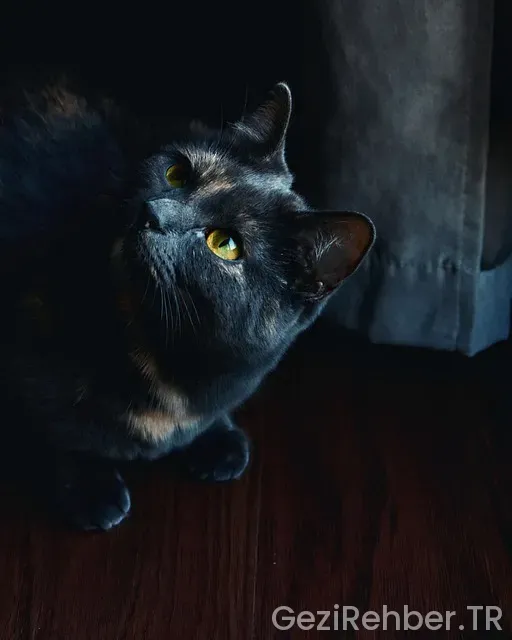 Colmarda nerede kalınır Colmarda nerede kalınır