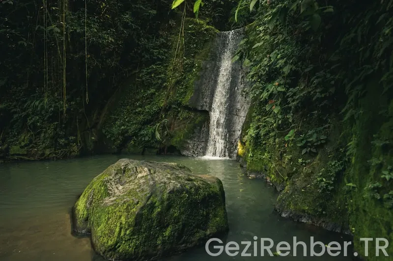 Costa rica travel guide