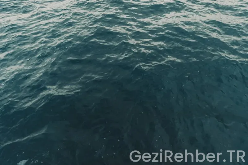 Deniz gezmiş harun karadeniz