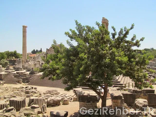 Didim nerede kalınır