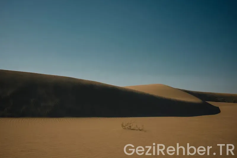 Didim’de Gezilecek Yerler