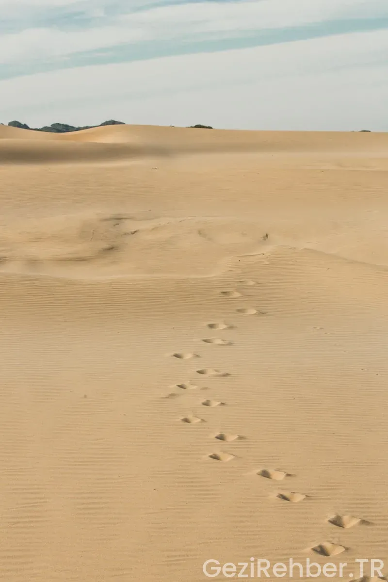 Didim’de Gezilecek Yerler