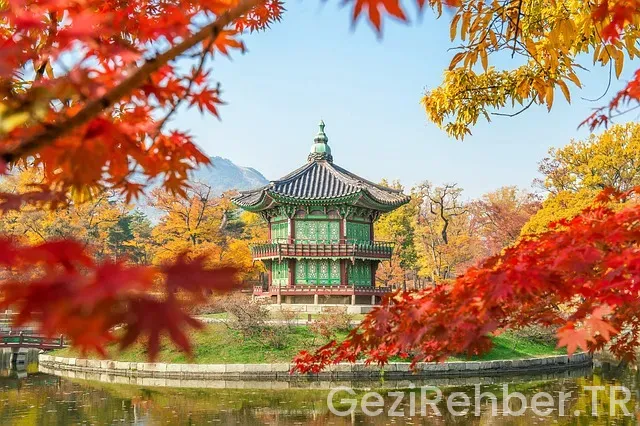 Dilsiz Güney Doğu Anadolu Bölgesi