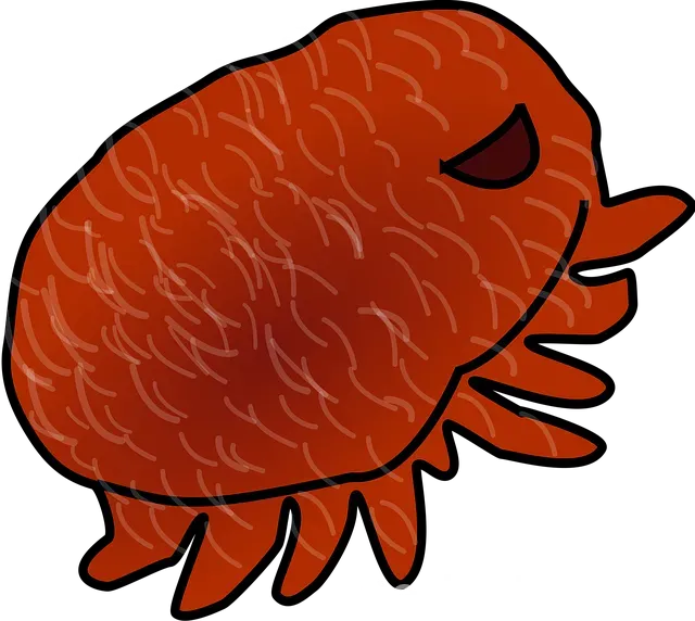 Diyarbakır Gezi Rehberi Diyarbakır Gezi Rehberi