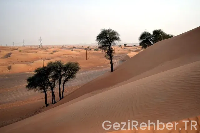 Diyarbakır medine arası uçakla kaç saat Diyarbakır medine arası uçakla kaç saat