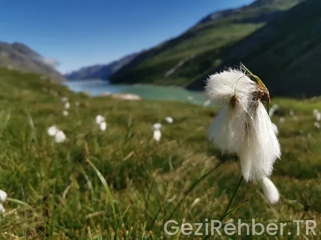 Diyarbakır uçakla kaç saat