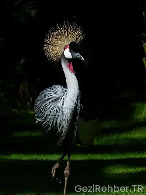 Doğu Anadolu Gezi Blog