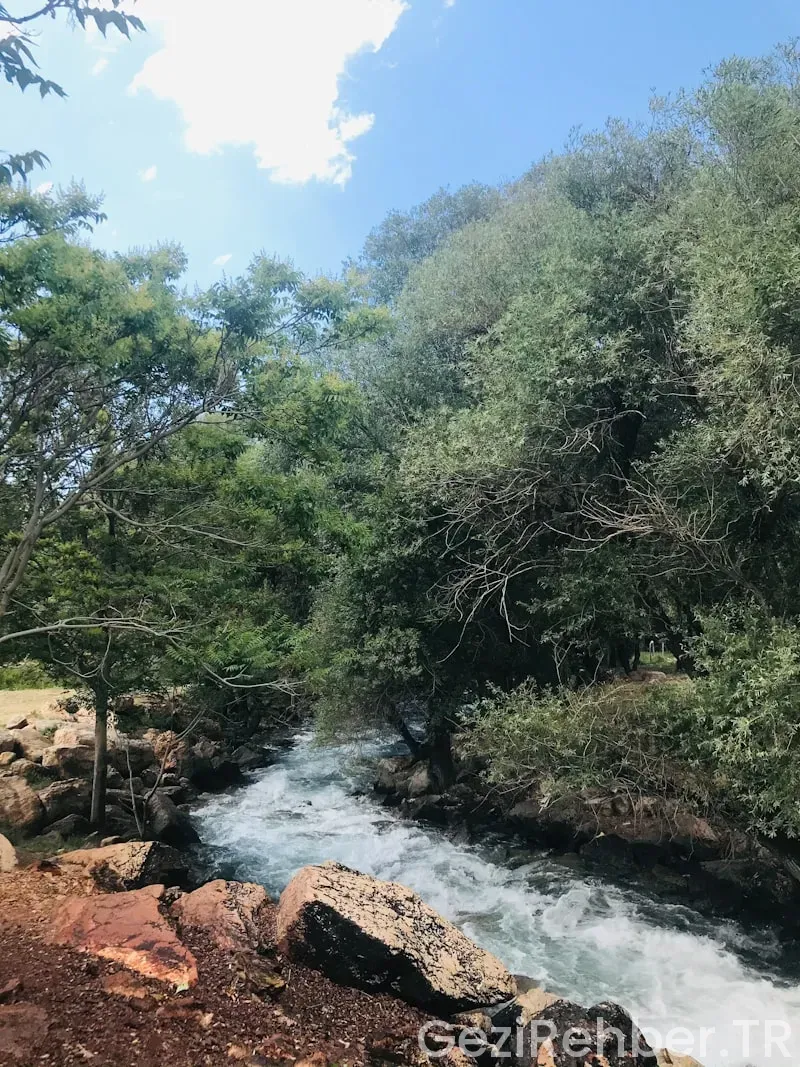 Doğu karadeniz gezi googleharitası Doğu karadeniz gezi googleharitası