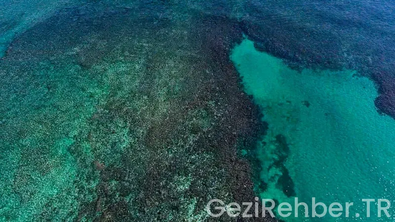 Dominican republic travel guide