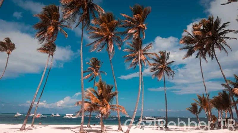 Dominican republic travel guide