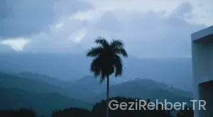 Dominik Cumhuriyeti Gezi Rehberi