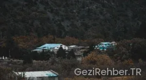 Dominik gezi turları