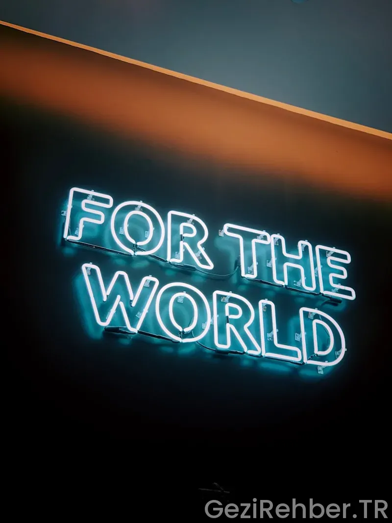 Dünya Çapında En İyi Safari Deneyimleri