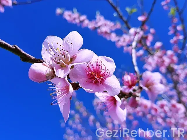 Ege Akdeniz Gezi Rotası