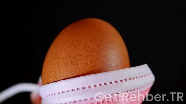 Ege çevresinde gezilecek yerler