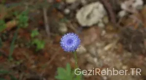 En güzel kamp yerleri türkiye