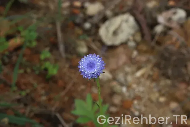 En güzel kamp yerleri türkiye
