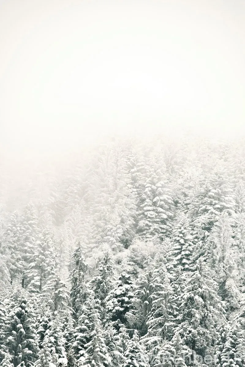 En Güzel Karlı Destinasyonlar