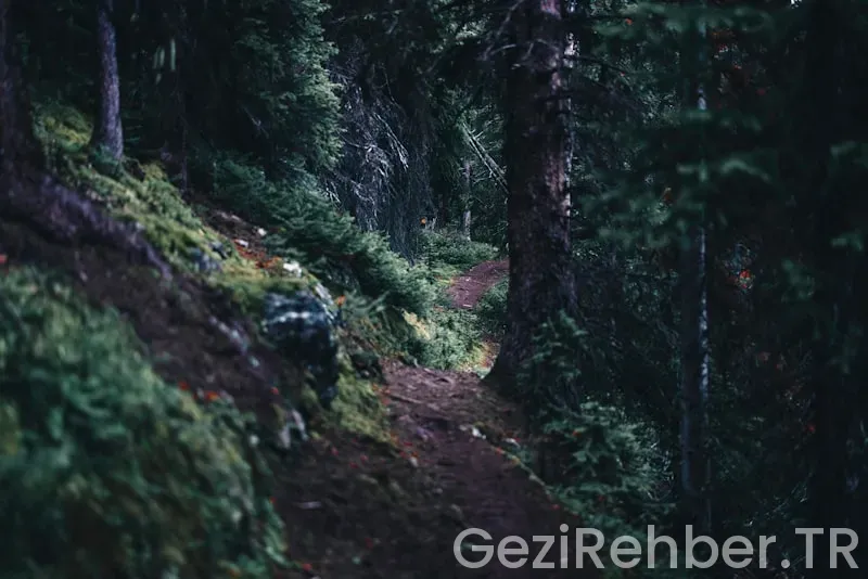 En İyi Doğa Yürüyüşü Rotaları