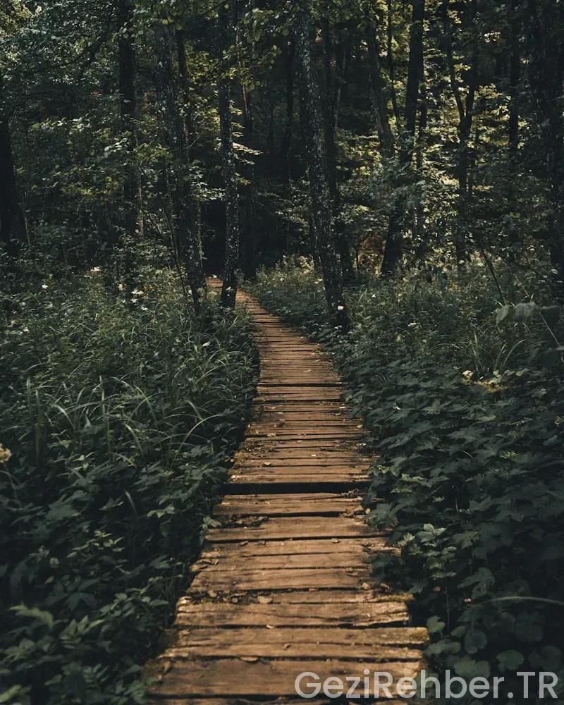 En İyi Doğa Yürüyüşü Rotaları