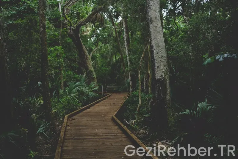En İyi Doğa Yürüyüşü Rotaları