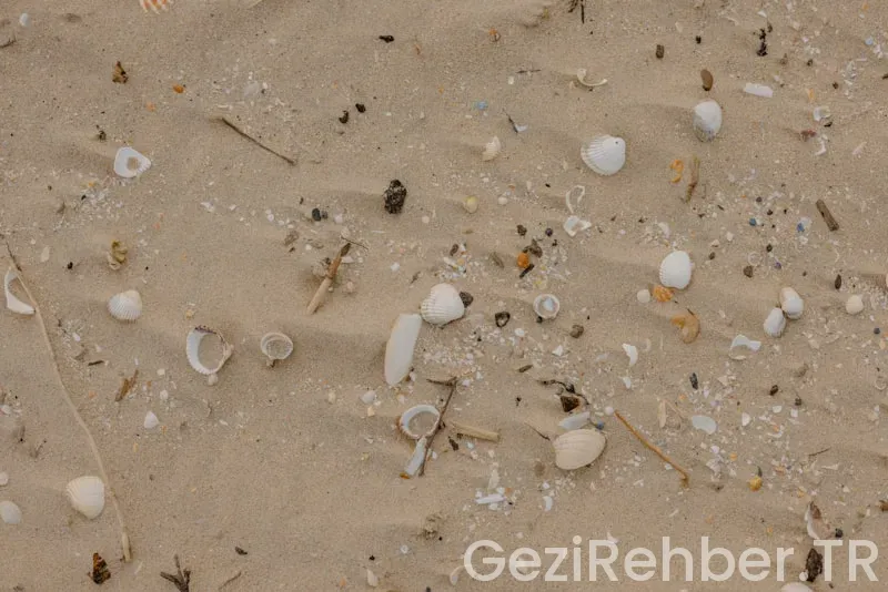 Erdek plaj önerileri