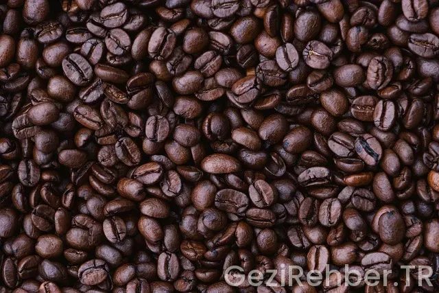 Erzurum istanbul uçakla kaç saat