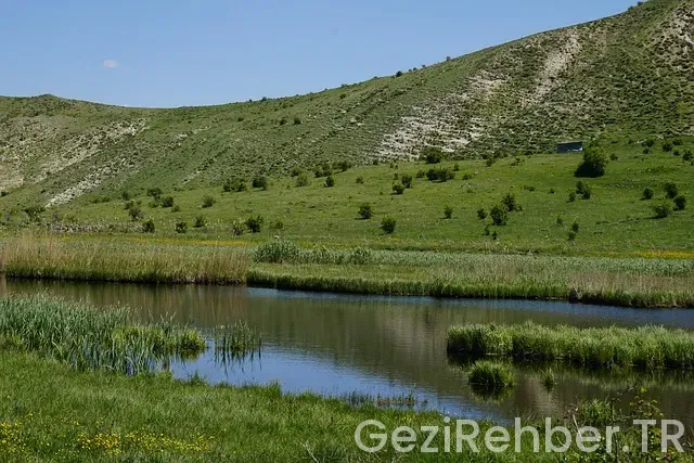 Erzurum medine arası uçakla kaç saat