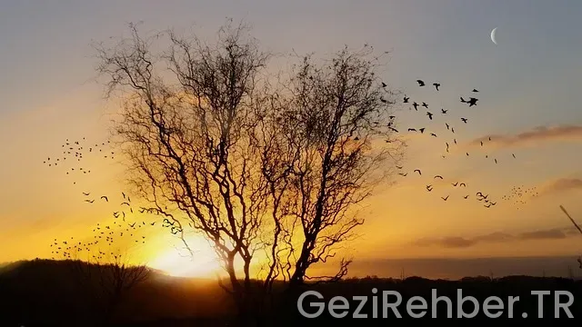 Eskişehir de nerede kalınır