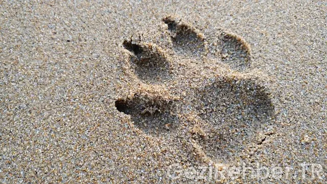 Eskişehir de nerede kalınır