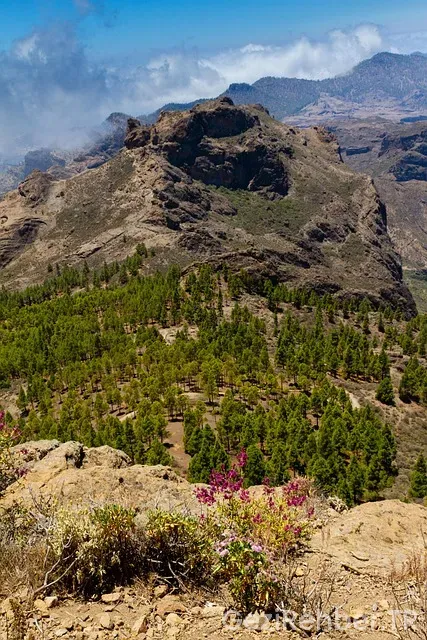 Ets tur iletişim bilgileri